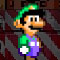 Luigi's Run