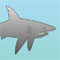 Shark Attack