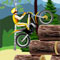 Stunt Dirt Bike