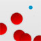 The Circles
