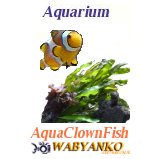 Aqua Clown Fish