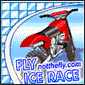 Fly Ice Race